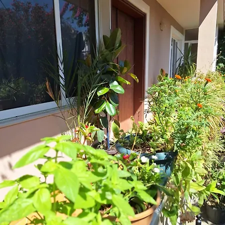 Dajti View Ap ティラナ