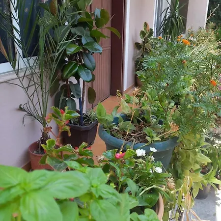 Dajti View Ap Lägenhet Tirana