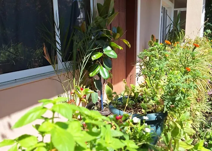 Dajti View Ap Tirana