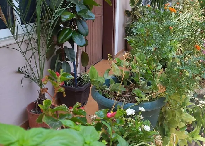 Dajti View Ap Apartment Tirana